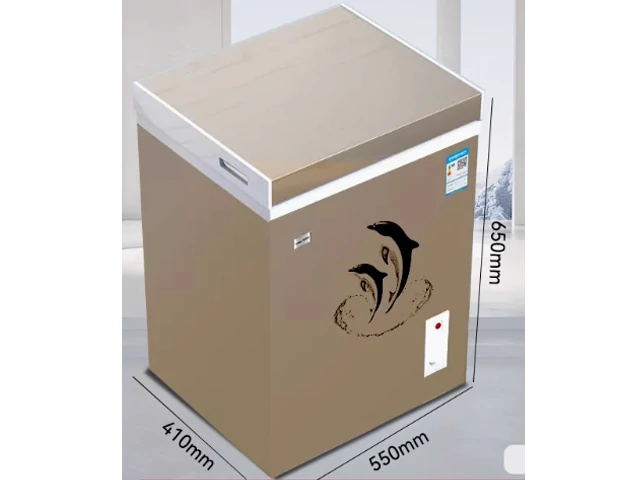 Compact vertical freezer or chest freezer for mobile or small-scale commercial use.